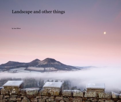Landscape and other things book cover
