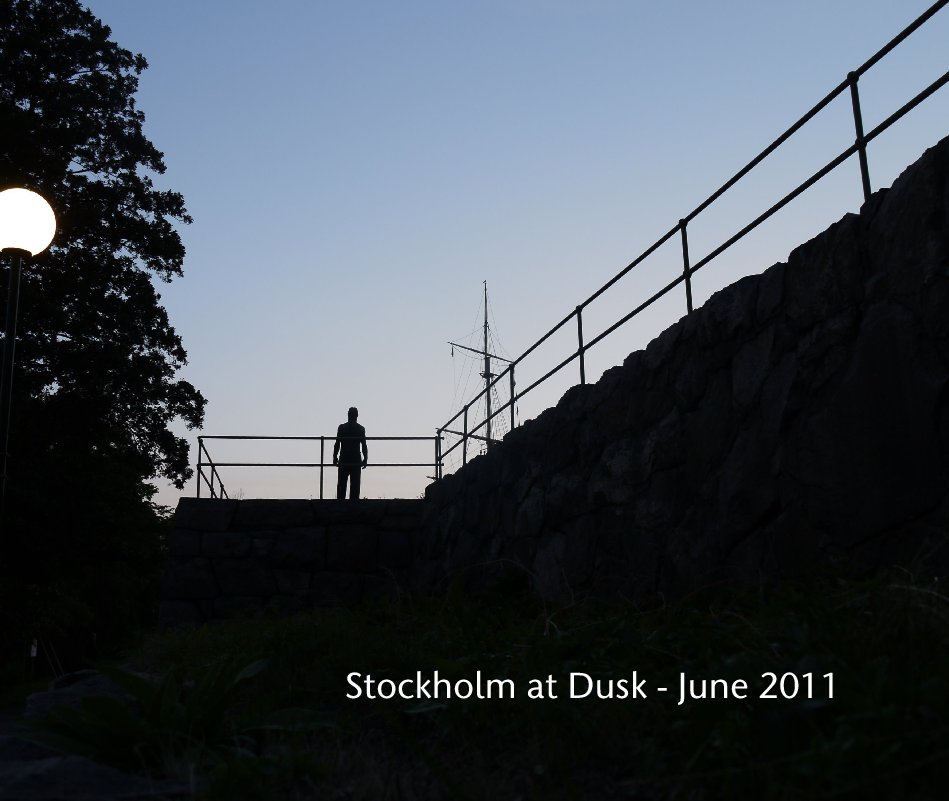 View Stockholm at Dusk - June 2011 by Markus Baumgartner