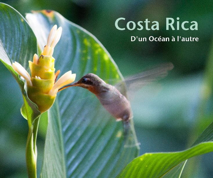 View Costa Rica by Martine et Nicolas