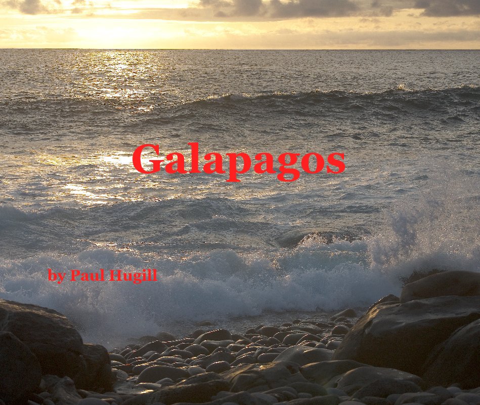 View Galapagos by Paul Hugill