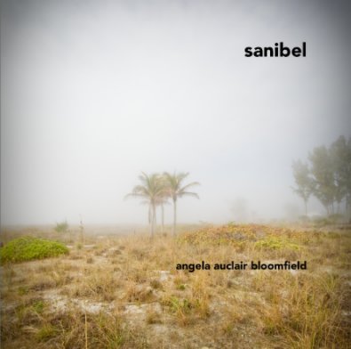 sanibel















angela auclair bloomfield book cover