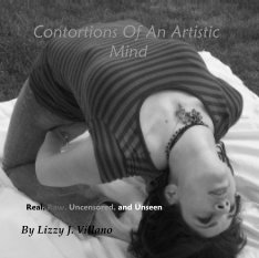 Contortions Of An Artistic Mind book cover