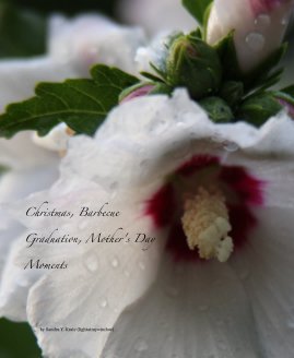Christmas, Barbecue, Graduation, Mother's Day Moments book cover