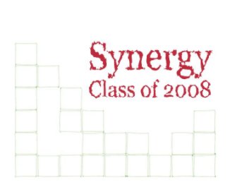 Synergy Class of 2008 book cover