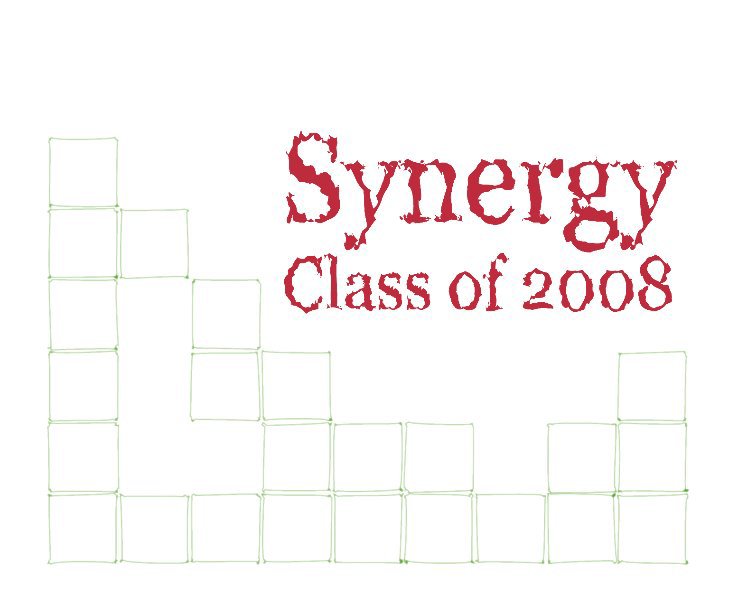 View Synergy Class of 2008 by Richard Lawler