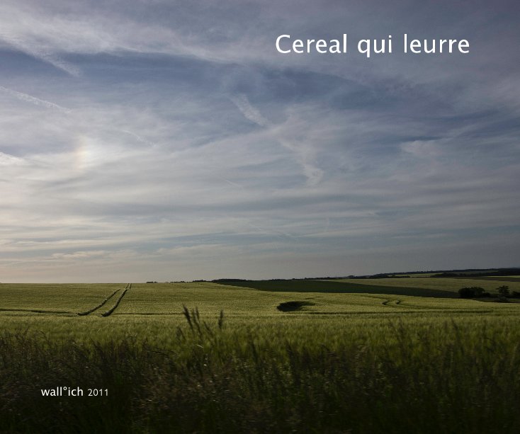 View Cereal qui leurre by wall°ich 2011
