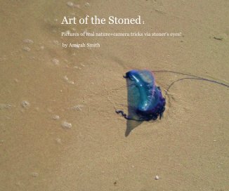 Art of the Stoned 1 book cover