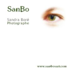 SanBo book cover