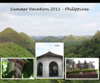 Summer Vacation 2011 - Philippines book cover
