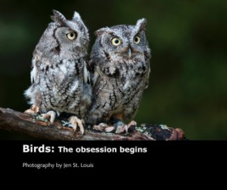 Birds: The obsession begins book cover