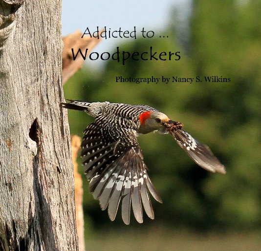 View Addicted to ... Woodpeckers by Nancy S. Wilkins