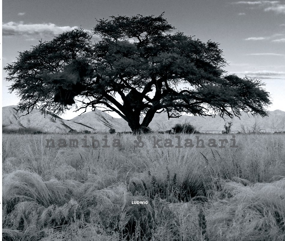 View Namibia & Kalahari V2 (Prem. Lustre) by Ludwig Haskins