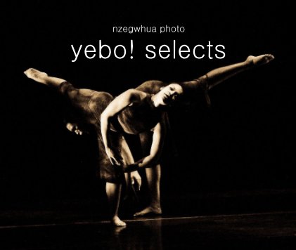 yebo! selects book cover