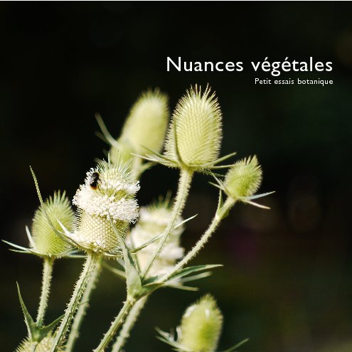 View nuances végétales by isabelle cohendet