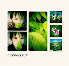 InstaShots 2011 book cover