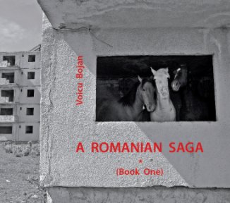 A ROMANIAN SAGA book cover
