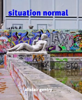 Situation Normal book cover