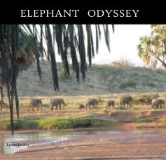 ELEPHANT ODYSSEY book cover
