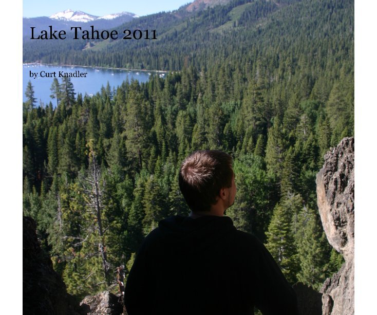View Lake Tahoe 2011 by Curt Knadler