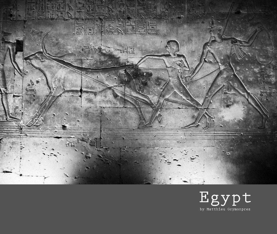 View Egypt Black and White by Matthieu GRYMONPREZ