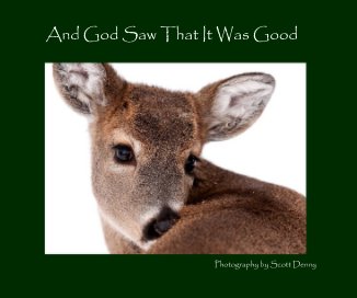 And God Saw That It Was Good book cover