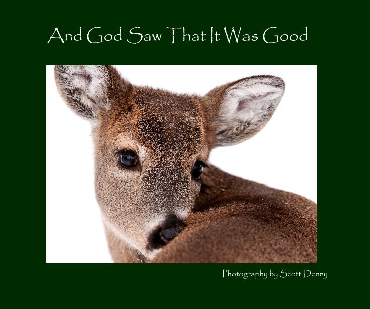 View And God Saw That It Was Good by Photographer Scott Denny