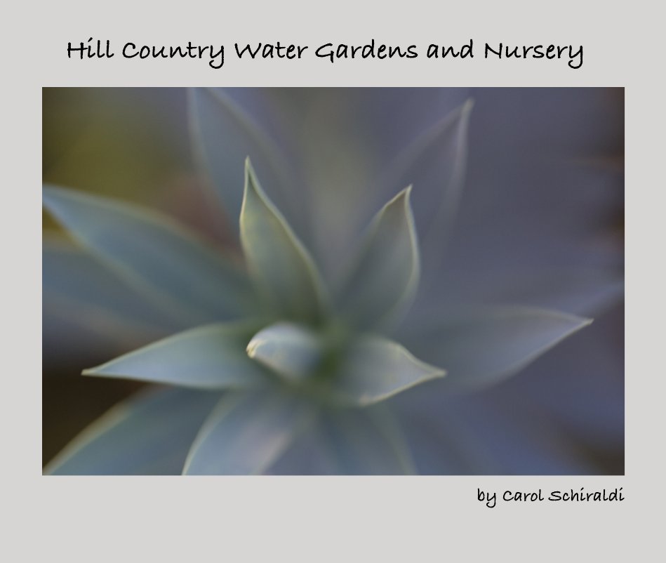 View Hill Country Water Gardens and Nursery by Carol Schiraldi