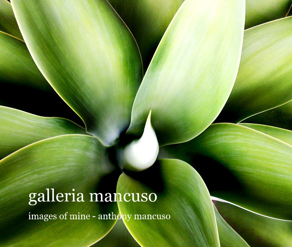 View galleria mancuso by anthony mancuso