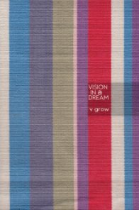 Vision in A Dream book cover
