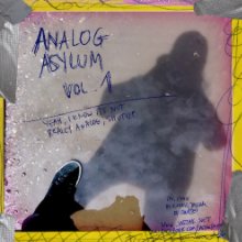 Analog Asylum, vol I book cover