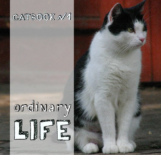 View Catbook №1. Ordinary life. by Stewsha