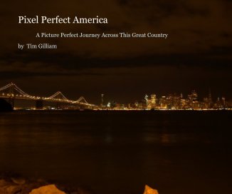Pixel Perfect America book cover