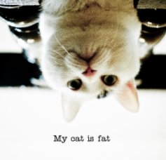 My cat is fat book cover