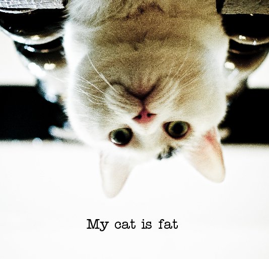 View My cat is fat by AK