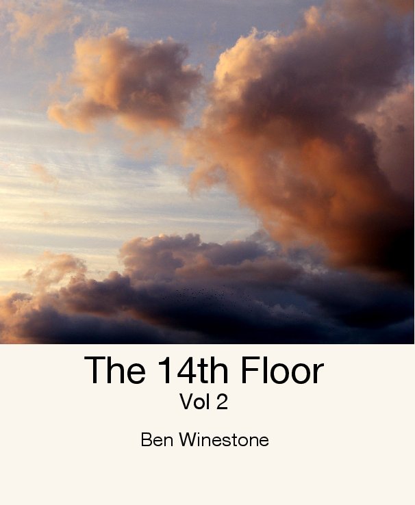Visualizza The 14th Floor - Vol 2 di Ben Winestone