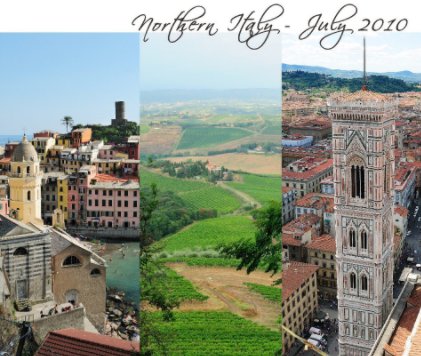Northern Italy Tour book cover