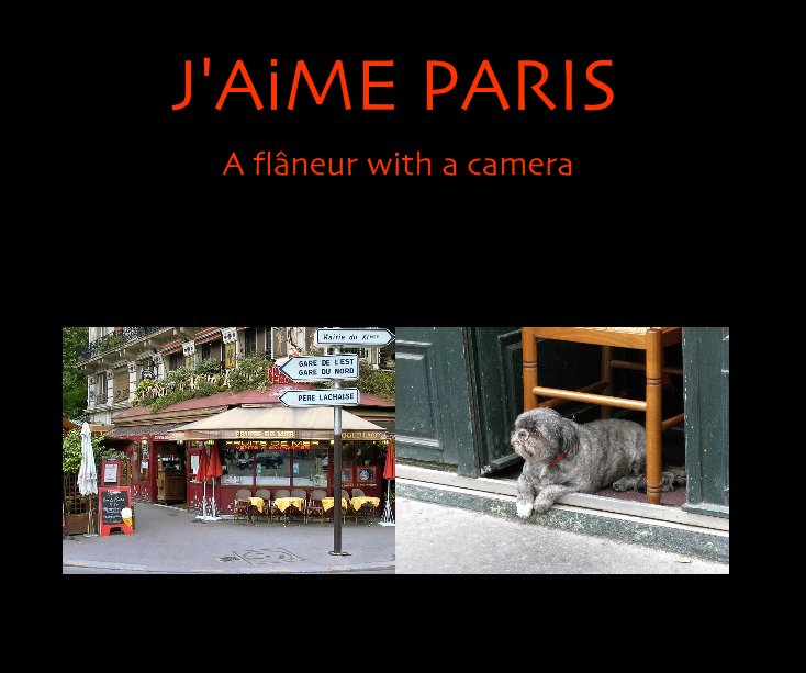 View J'AiME PARIS by John Shingleton