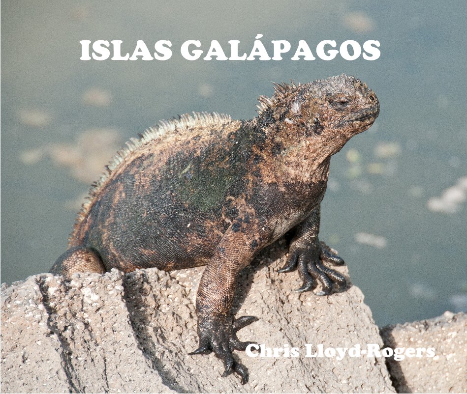 View ISLAS GALÁPAGOS by Chris Lloyd-Rogers