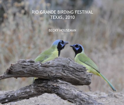 RIO GRANDE BIRDING FESTIVAL TEXAS, 2010 book cover