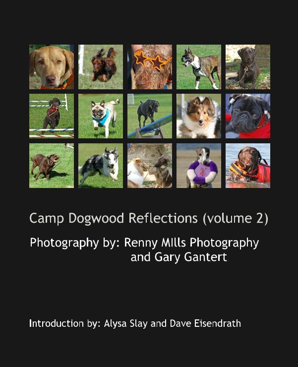 Bekijk Camp Dogwood Reflections (volume 2) op Introduction by: Alysa Slay and Dave Eisendrath
