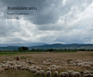 Rumänien 2011 book cover