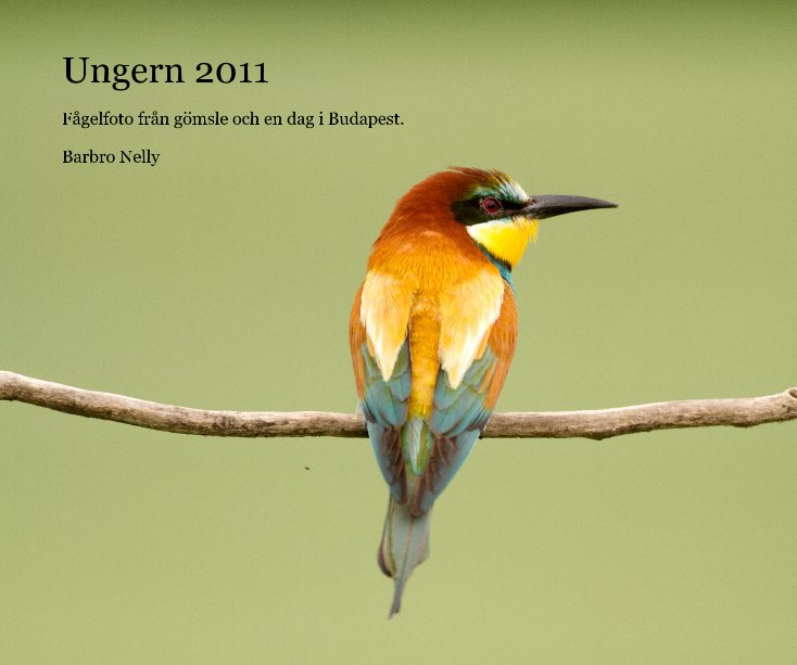 View Ungern 2011 by Barbro Nelly