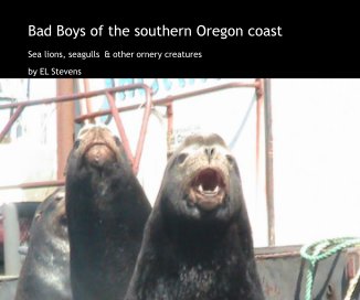 Bad Boys of the southern Oregon coast book cover