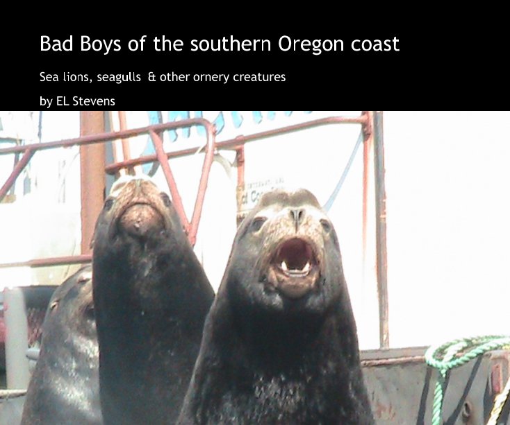 Bekijk Bad Boys of the southern Oregon coast op EL Stevens