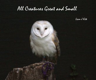 All Creatures Great and Small book cover