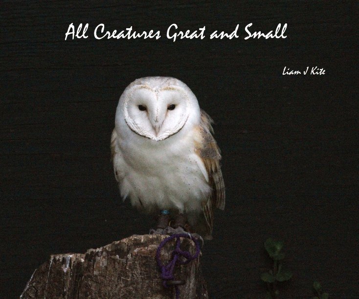 View All Creatures Great and Small by Liam J Kite