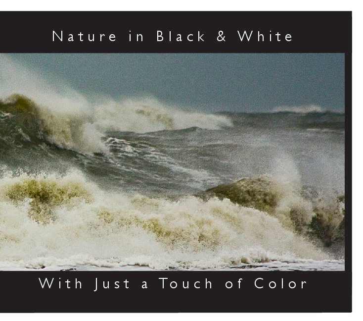 View The Nature of Black and White with just a Touch of Color by Ruth Gitto
