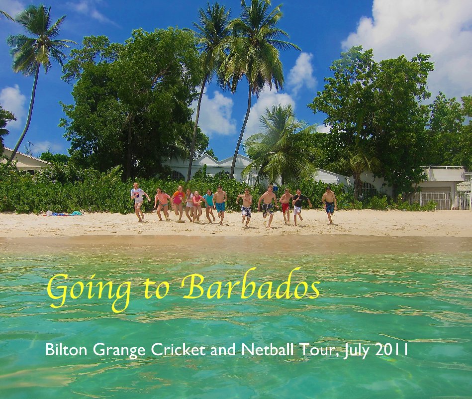 Ver Going to Barbados por David Noble