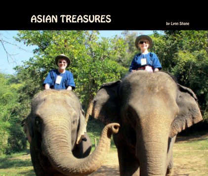 Asian Treasures book cover