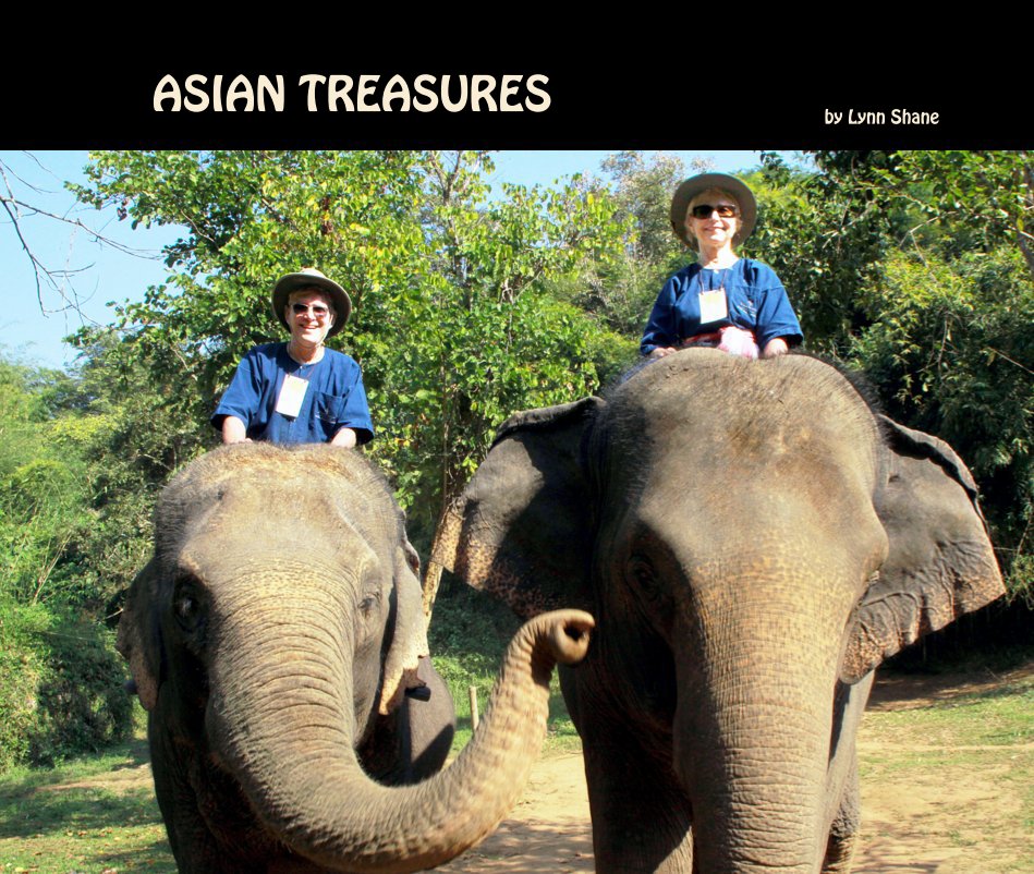 Asian Treasures nach Lynn Shane anzeigen